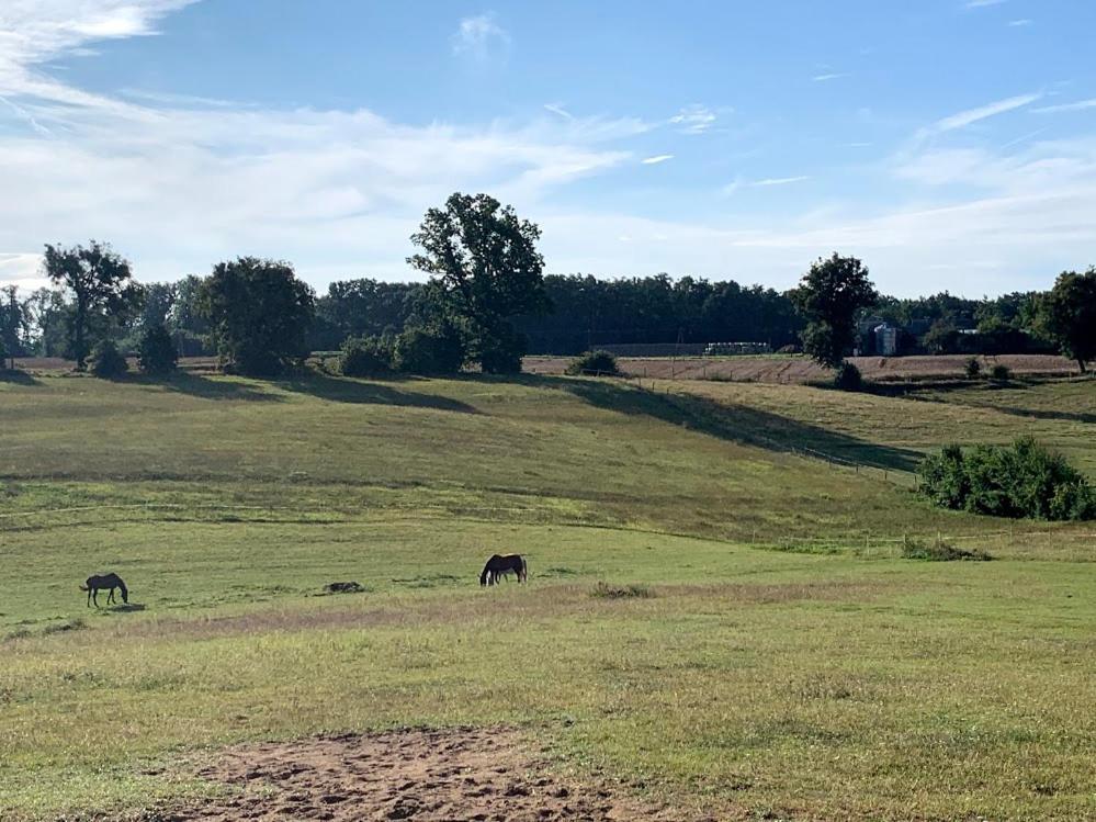 Toskania Kociewska Nowe Exteriér fotografie